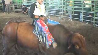 preview picture of video 'Jaripeo y Baile Ranchero en Chowchilla 05/30/10'