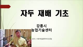 자두 연간 병충해 방제 강의 1-1 (강릉시농업기술센터 강의 내용)