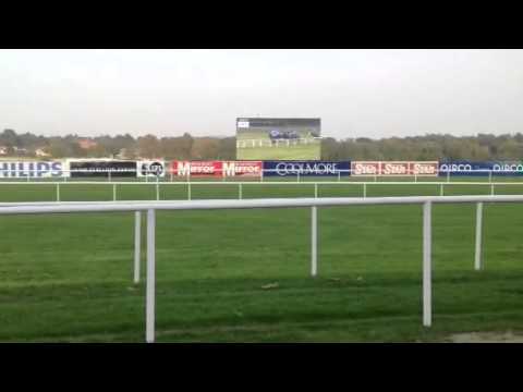 The Grey Gatsby beats Australia at Leopardstown