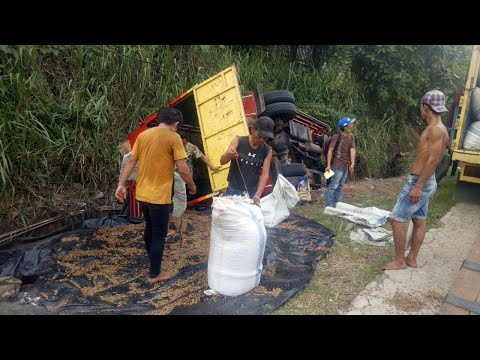 DIDUGA SOPIR MENGANTUK, TRUK BERMUATAN KOPI TERGULING