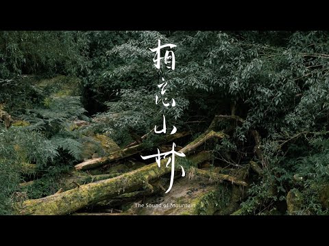 《相忘山林The Sound of Mountain》預告片