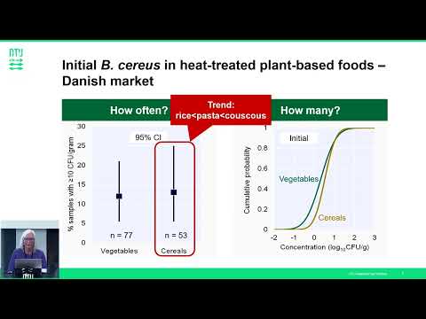 Food safety of plantbased foods: the role of Bacillus cereus, Tina Bech Hansen