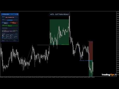 Video Double Top Bottom Head and Shoulders Levels MT5