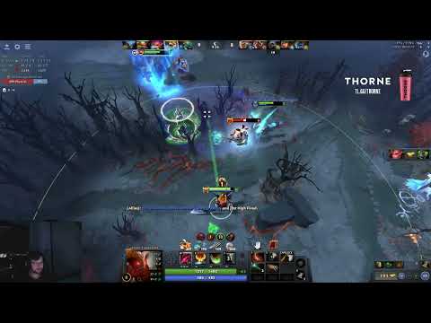 Qojqva - "I swear I just cut a random tree"