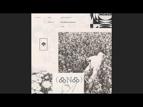 frail state of a musician - porter robinson & the 1975 (mashup)