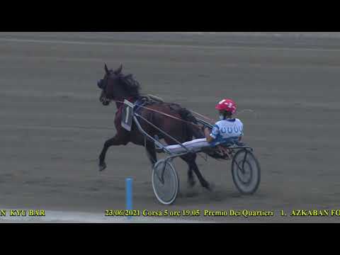 V Corsa   Premio Dei Quartieri del 23 Giugno 2021   Cat  E D C B                 Gara Centrale