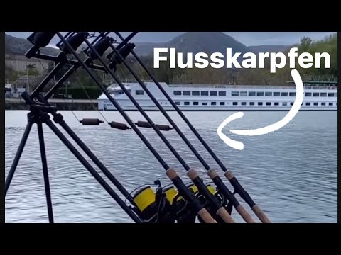 Meine Taktik. Aus dem Grund bin ich so gerne dort. Karpfenangeln am großen Fluss. Was will man mehr?