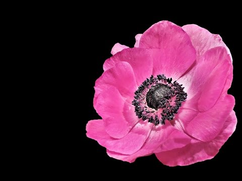 Wochenorakel 30. Mai - 5. Juni 2016