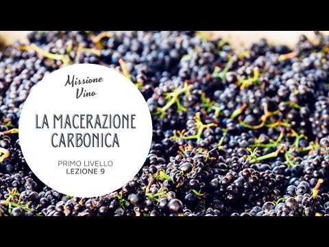 Lezione 9: Come si fa il vino novello - La macerazione carbonica