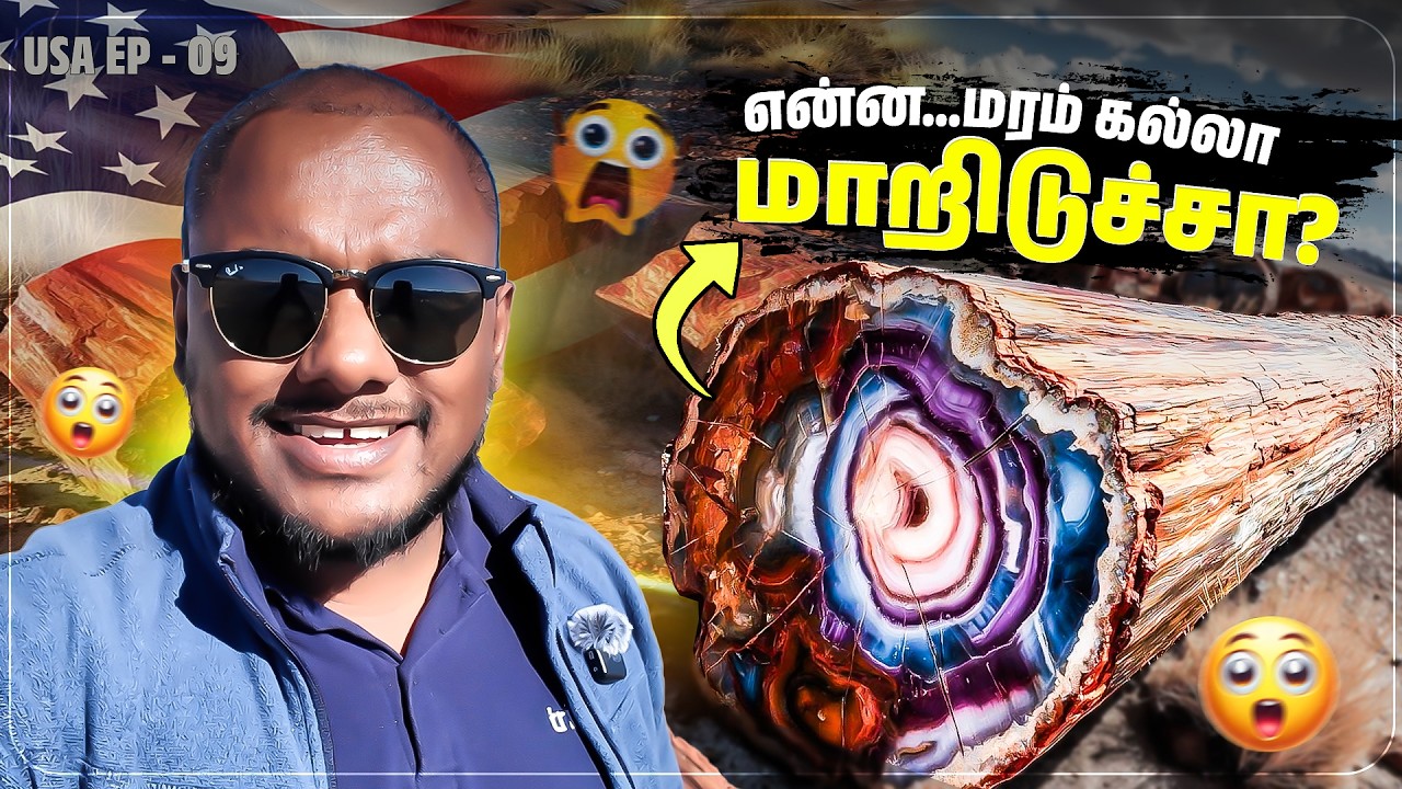 இந்த மாதிரி கேள்விபட்டதே இல்ல | USA EP - 09 | Tamil Solo Traveller | Tamil Trekker