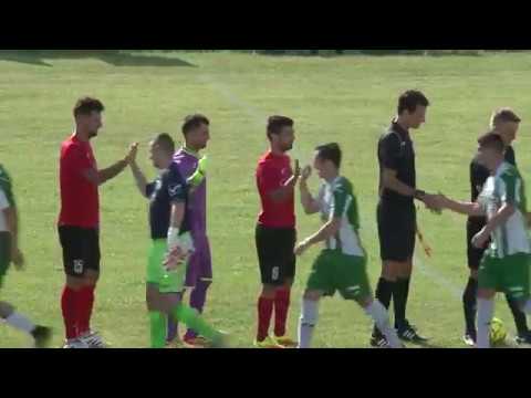 Liga a IV-a Timis, sezon 2018/2019, etapa 1, AS Fortuna Becicherecu Mic  vs ASO DETA, 3-0