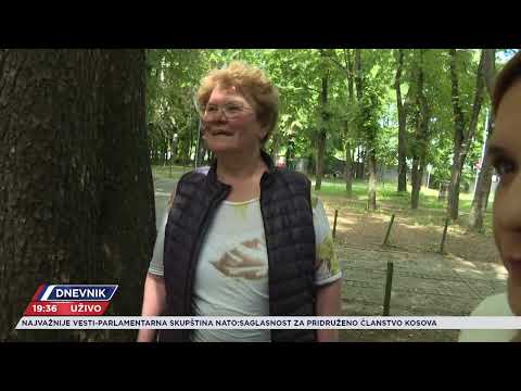 Huligani ubili čoveka u beogradskom naselju Braće Jerković