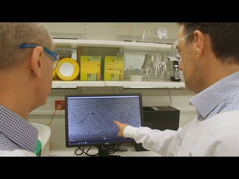 NJ COVID–19 Latest