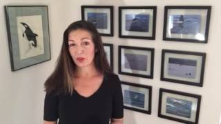3 tips for animal communication
