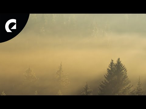 Erik Fernholm - Through the Woods