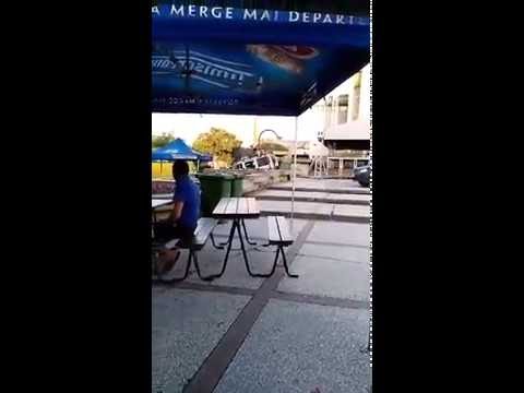 Un lugojean a surprins aceste imagini in centrul orasului