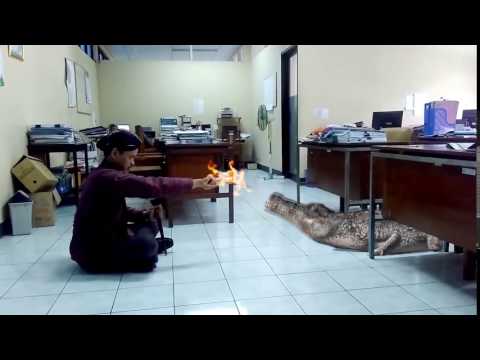 YouTube video