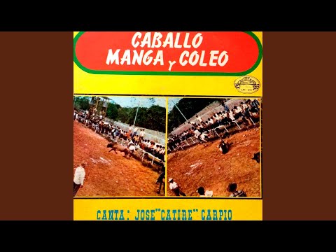 Coleadores Del Zulia