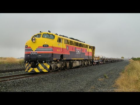 SSR Broad Gauge Rail Train In The Rain (14/12/2018) - PoathTV Australian Railways