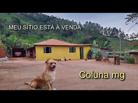 SÍTIO À VENDA | 10 HECTARES, PORQUE , VOU VOLTAR PRA CIDADE ? JÁCOME, MUNICÍPIO DE COLUNA MG