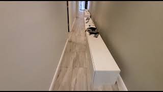 Coral Gables Spa On Miracle Mile