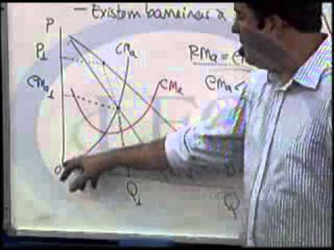 Micro Economia (Capítulo: III Sétima Parte)