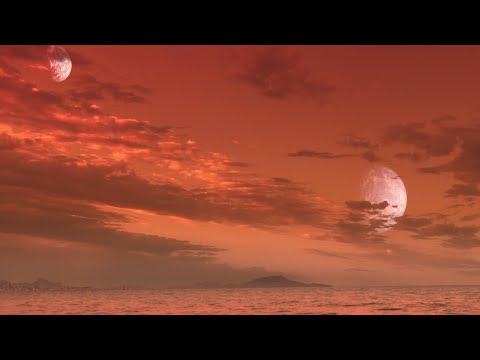 afbeelding Hunt for Planet B, The