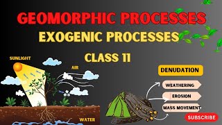 Exogenic Processes - Geomorphic Processes |What is Exogenic Processes | Class 11 Geography | NCERT