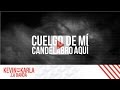 Sia - Chandelier (spanish version by Kevin ...