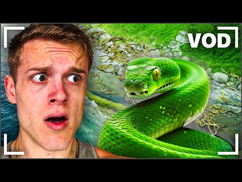 Joe Bartolozzi | Reacts Day #368 & MrBeast React