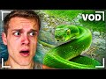Joe Bartolozzi Reacts Day 368 MrBeast React