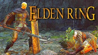 [問題] Elden Ring 粒粒葡萄(已解決)