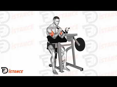 Exercice Curl pupitre sur machine