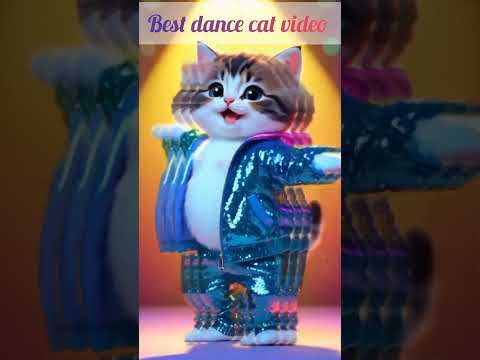 best dance cat video 😺😺😺.          😻😻😻😻