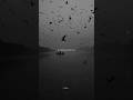 aa chal ke tujhe main leke chalu | #lyrics#kishorekumar#oldsong #shorts #aesthetic