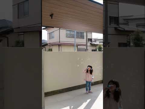 デザイナーズガーデンブランコ – 18 種類のバリエーションの中でどれが一番良いですか?  庭園