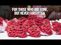 The Impact Of The Buddy Poppy