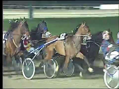 Trotto 03/03/2017 - 8ª corsa - TRIS