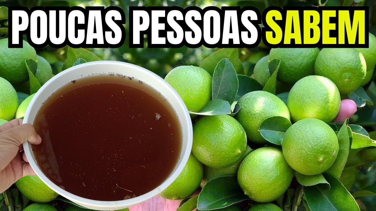 ADUBO BOMBA! Pura Carga de Limão com esse Adubo Natural Simples