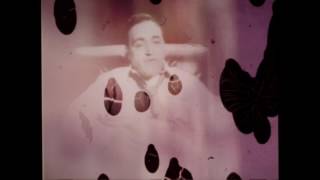 The White Noise - Rated R (feat. Landon Tewers)