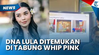 RIWAYAT DNA Lula Lahfah Ditemukan di Tabung Whip Warna Merah Muda, Isinya Kini Terkuak
