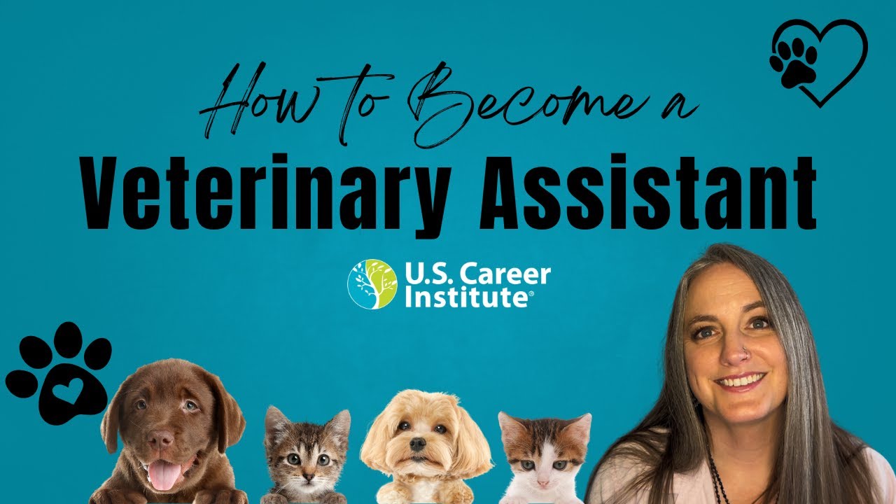 🐶 How to Become a Veterinary Assistant (start in as little as 4 months!)