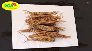 Truyền hình Nam Định về sản phẩm PQA Sáng Mắt