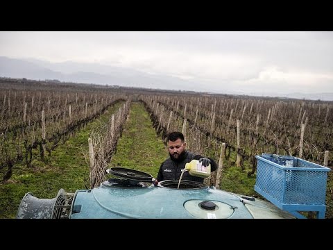 European Commission wants to slash use of chemical pesticides by 50% by 2030