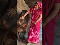 YouTube Style 7 Real Village Life Desi Cow Milking 8 Pure Desi Gaon Life No Filter