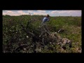 The Beatles - John, Paul, and George searching ...