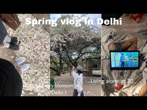 Daily vlog 🍵|| India (aesthetic vlog)