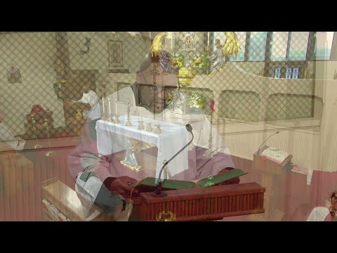 Daily Readings and Homily - 2025-08-09 - Fr. Mark