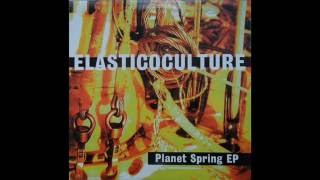 Elasticoculture - Planet Spring EP / A - Container Dreams