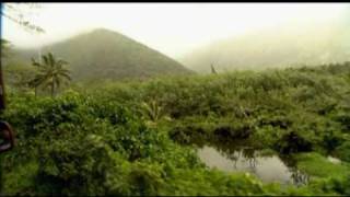 Deftones - Digital Bath (Live in Hawaii) (HQ)